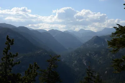 DSC_3539 (Large).JPG